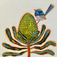 Fairy Wren and Banksia #7
