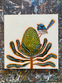 Fairy Wren and Banksia #7
