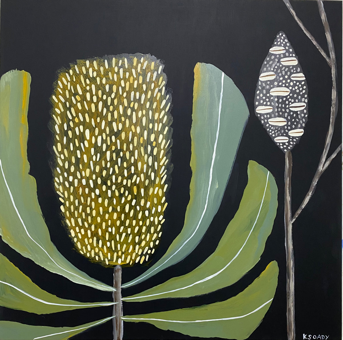 Banksia Nocturne & Pod #3