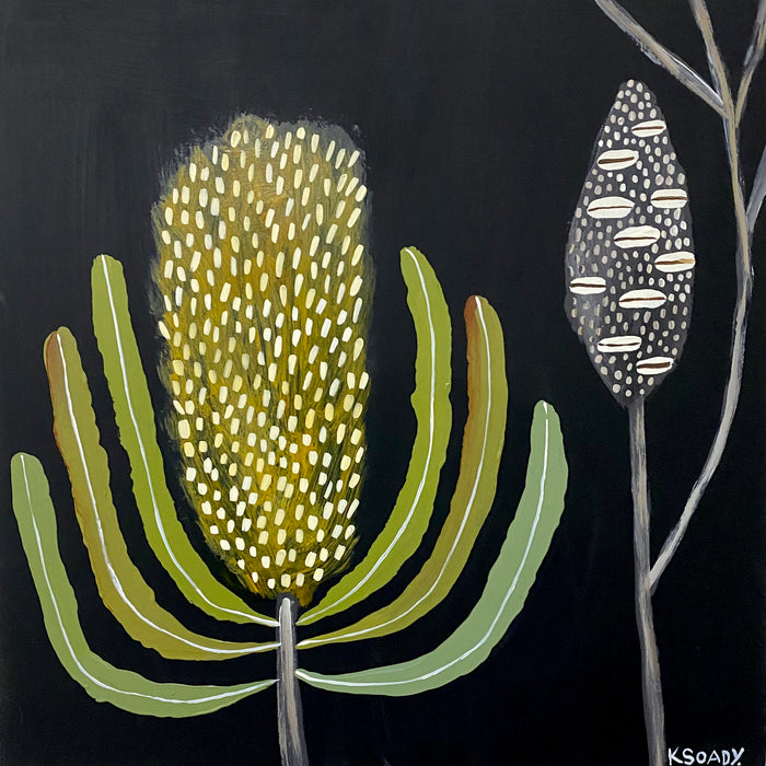 Banksia Nocturne & Pod #2