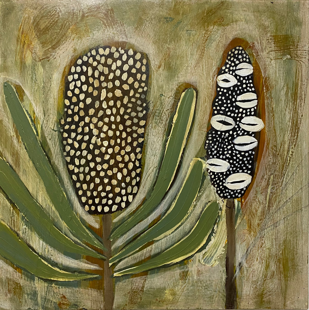 Banksia Bloom & Pod #7