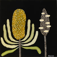 Banksia Nocturne & Pod #4