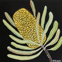 Evening Banksia #7