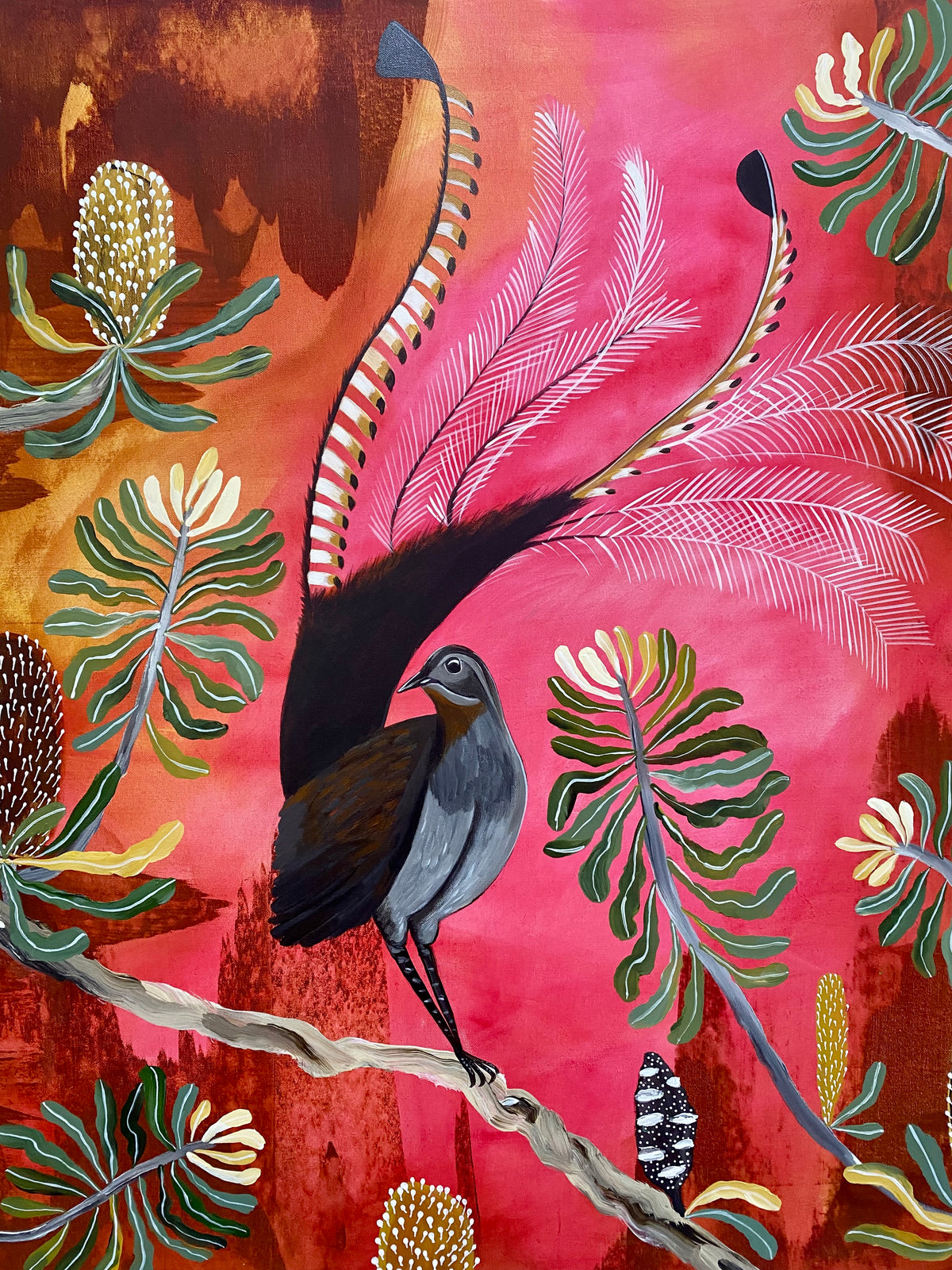 Lyrebird Dawn