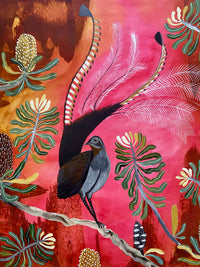 Lyrebird Dawn