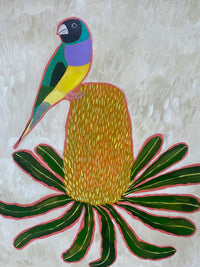 Gouldian Finch