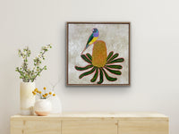 Gouldian Finch