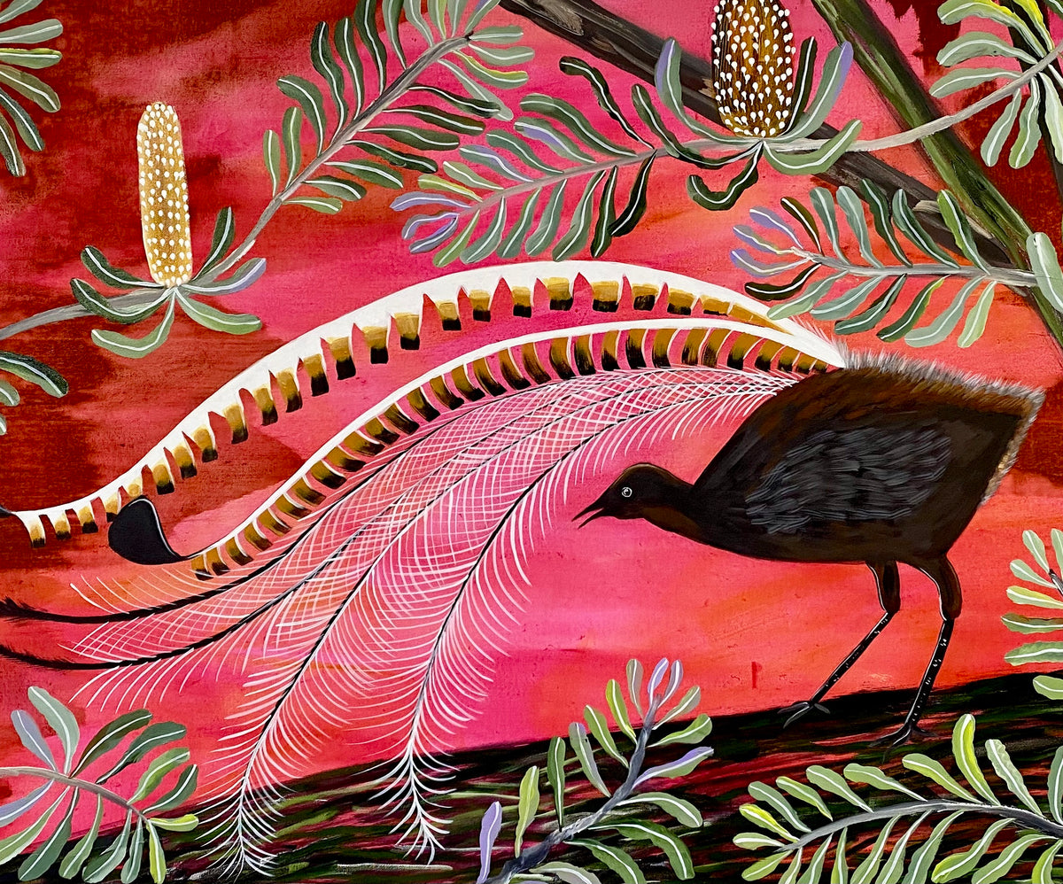 Dusk Lyrebird