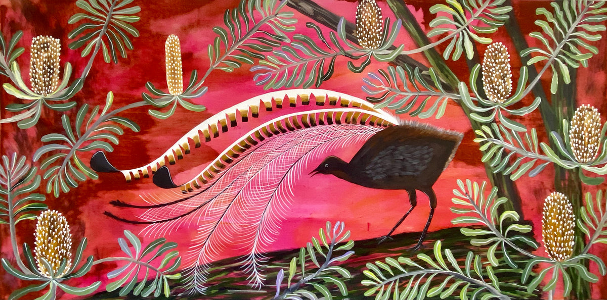 Dusk Lyrebird