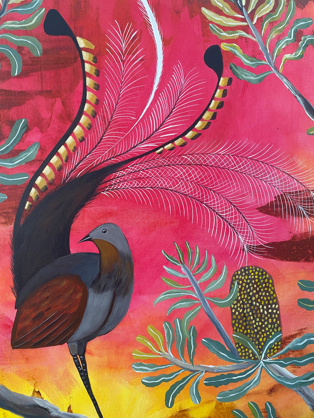 Dawn Lyrebird #2
