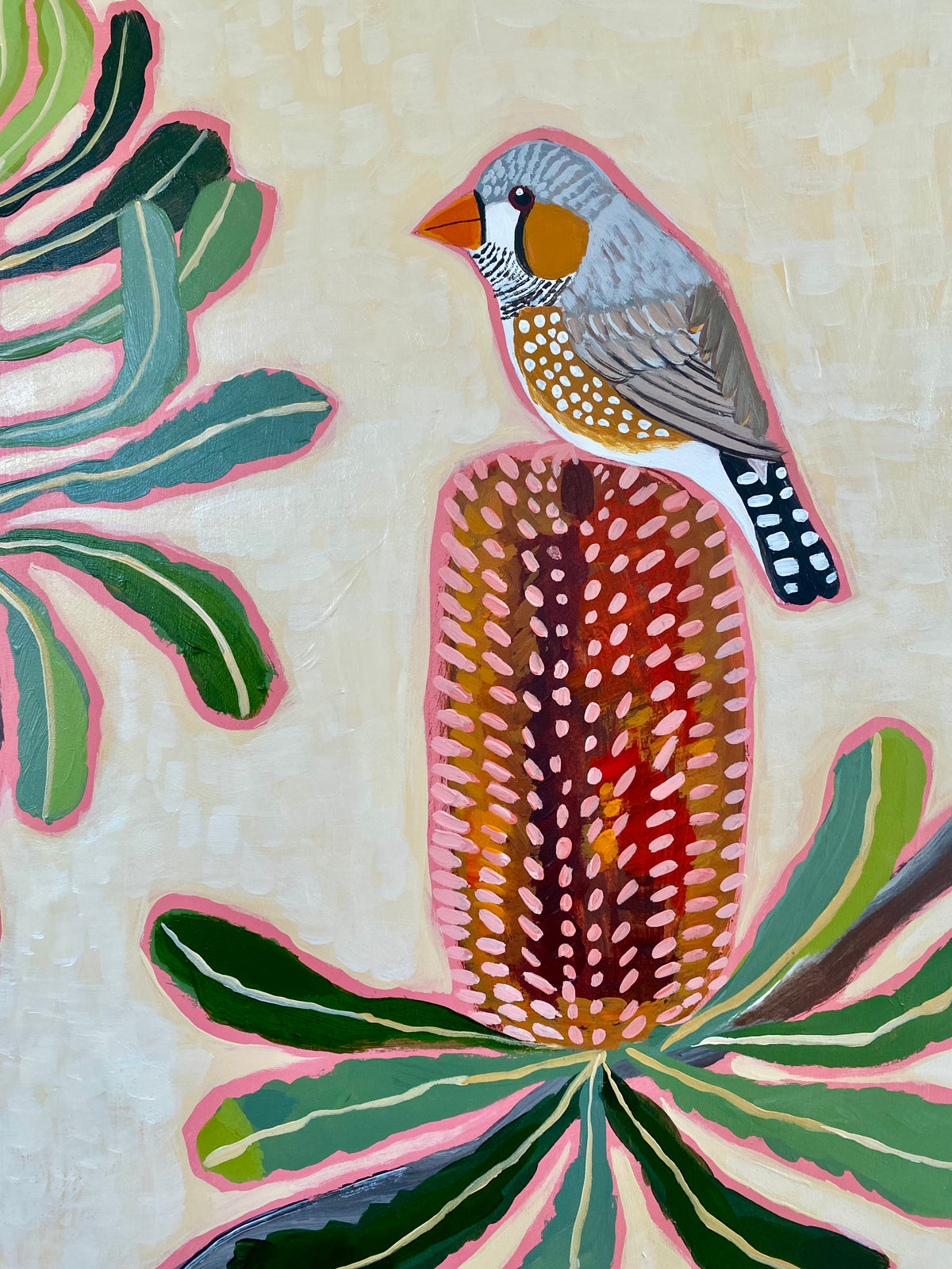 Zebra Finch & Banksia