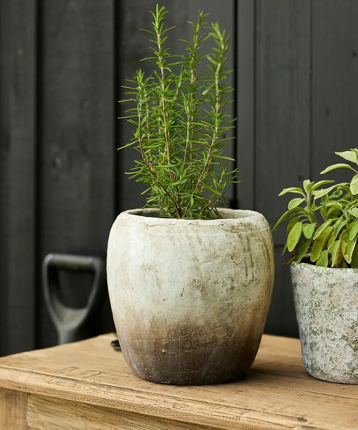 Marron Planter