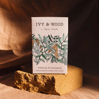 Ivy and Wood - Botanical Collection