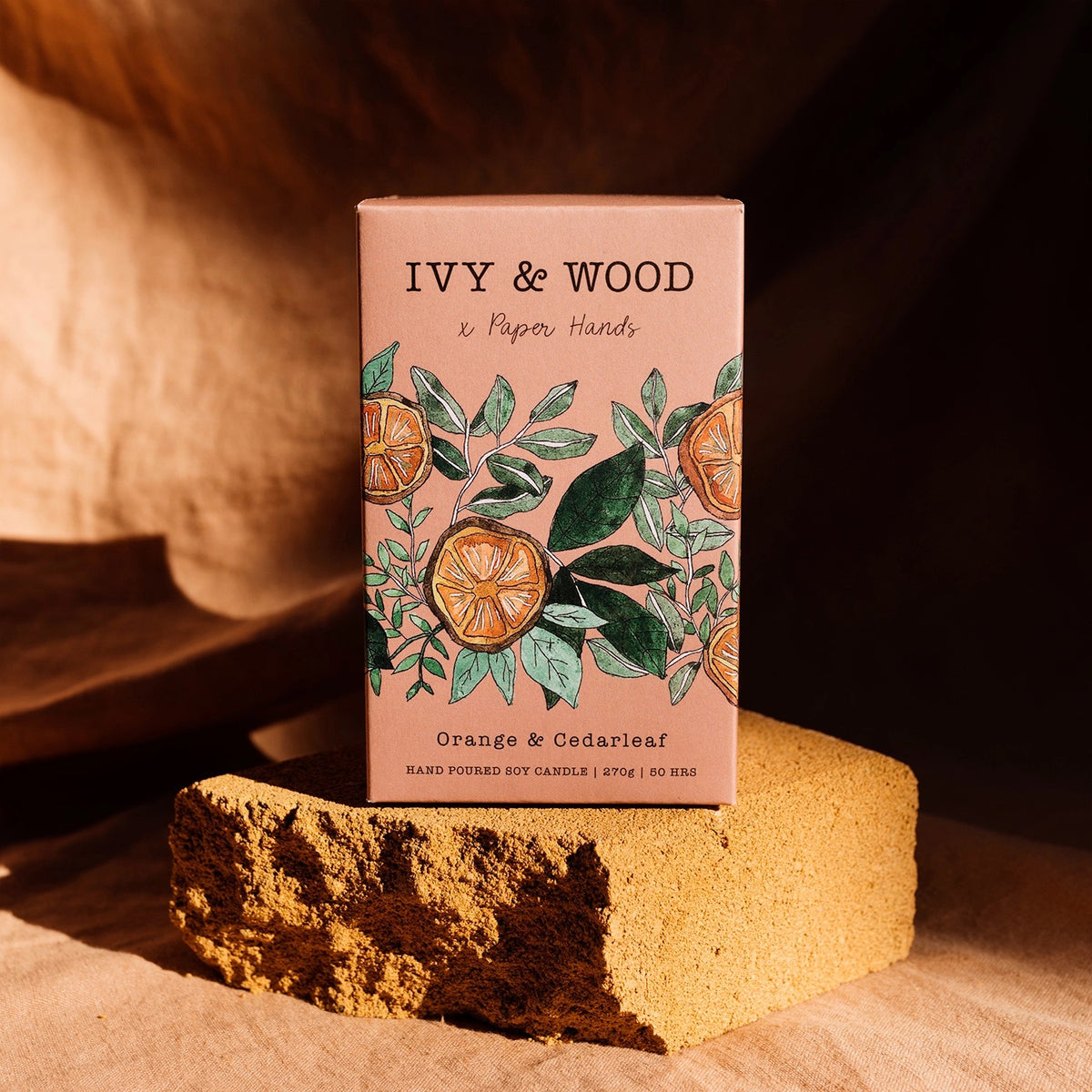 Ivy and Wood - Botanical Collection