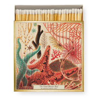 Great Barrier Reef - Matches