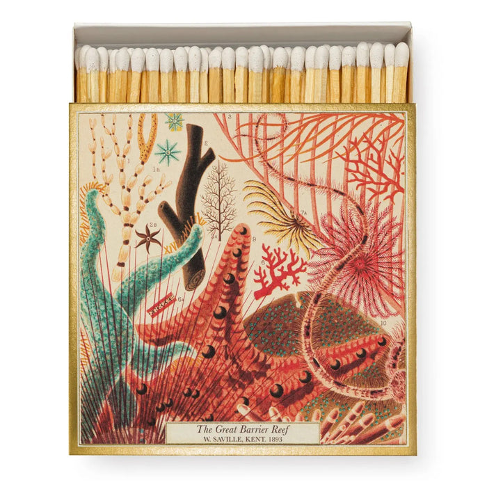 Great Barrier Reef - Matches