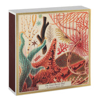 Great Barrier Reef - Matches