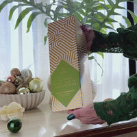 Sea Salt, Lemon Myrtle + Native Pine Fragrance Diffuser Set | 90ml