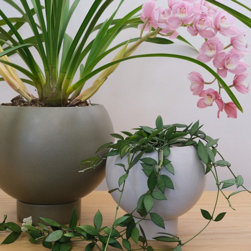 Medium Orbit Planter Jade