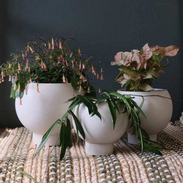Large Orbit Planter Oatmeal