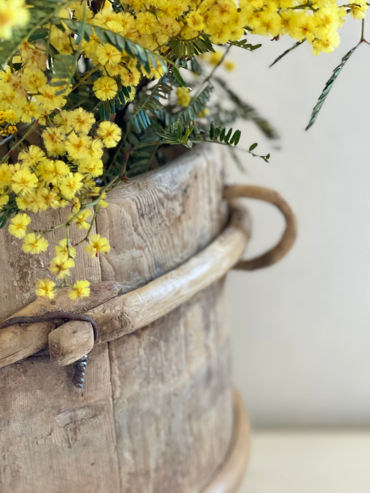 Elm Well Small Pot