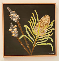 Pods and Banksia #2