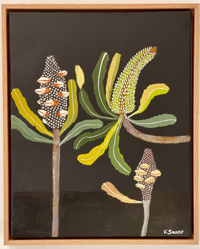 Banksia and Pods