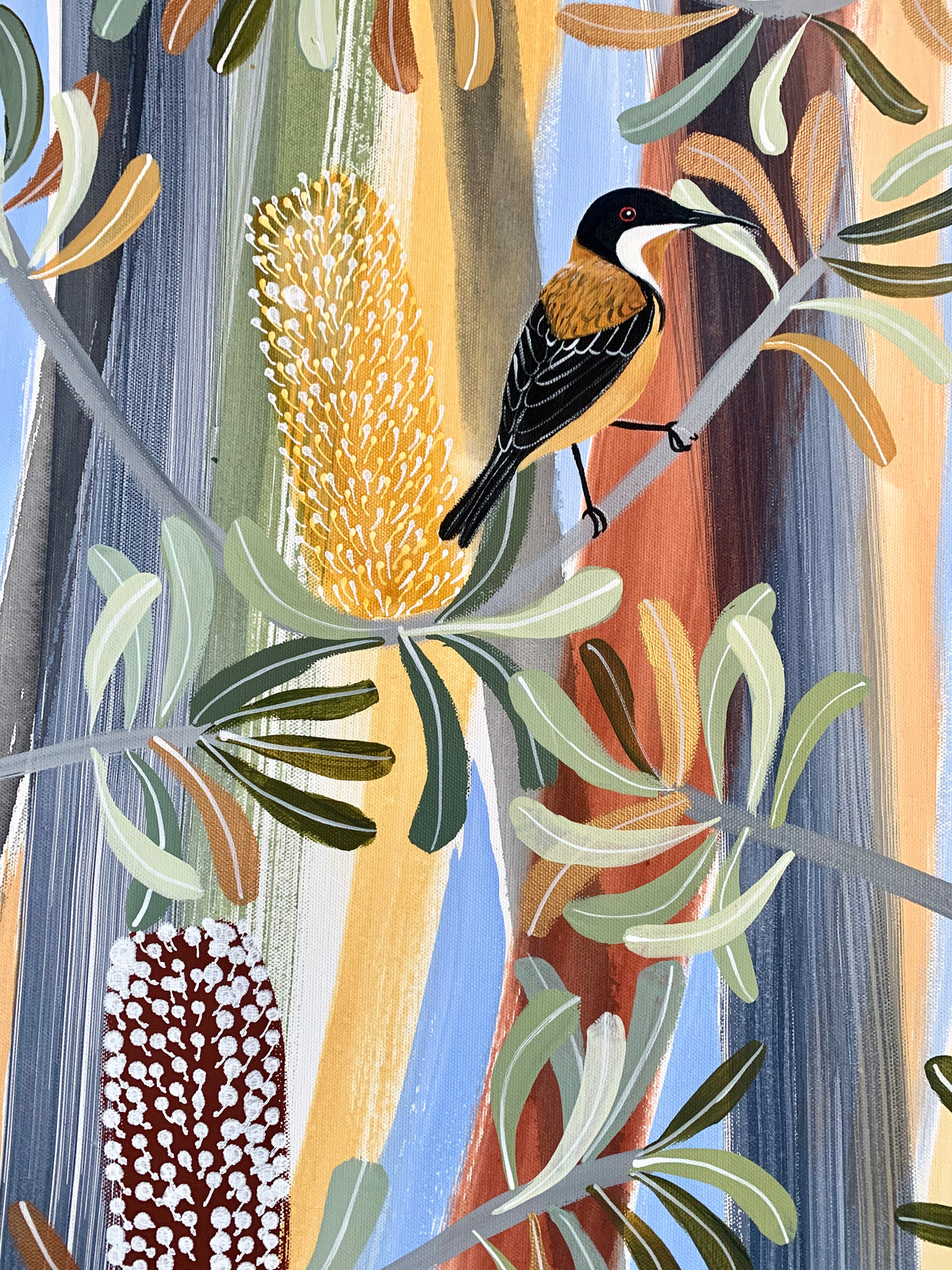 Eastern Spinebills in the banksia