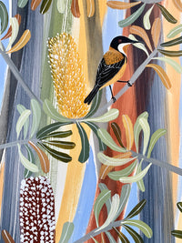 Eastern Spinebills in the banksia