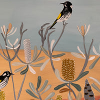 Coastal Honeyeaters