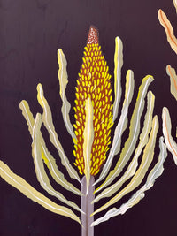 Banksias #6