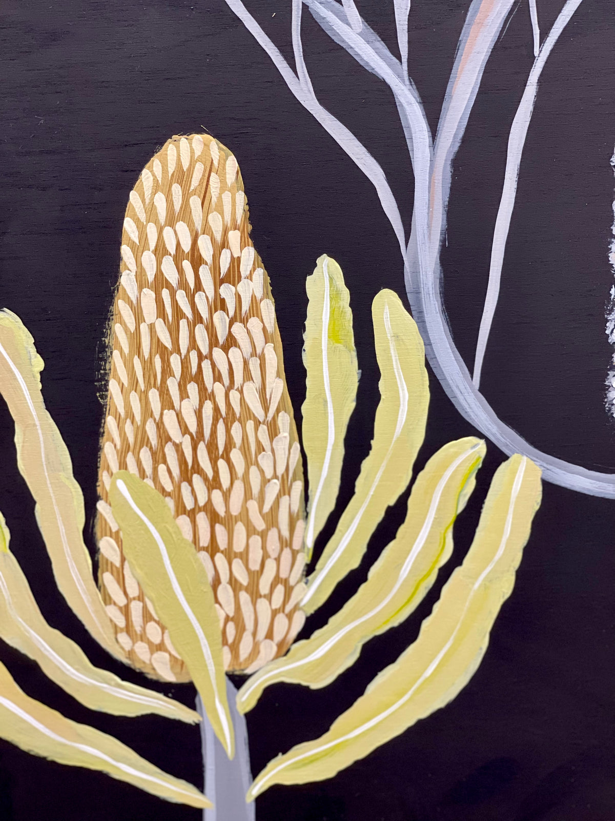 Pod and Banksia #4