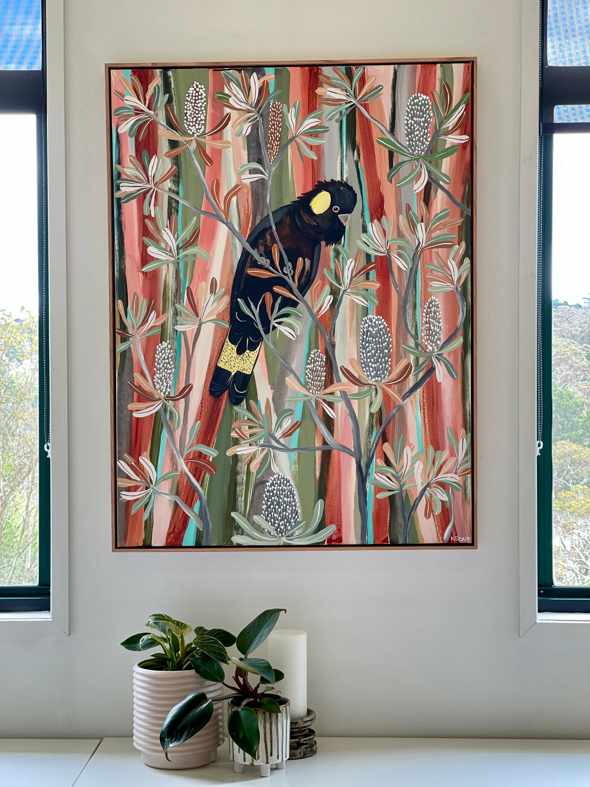 Desert Banksia and Black Cockatoo