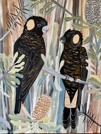 Black Cockatoos in Late Summer