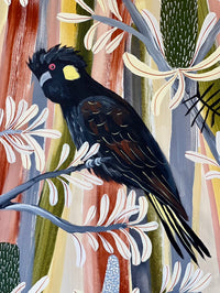 Dessert Banksia and  Black Cockatoos #2