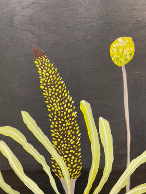 Billy Buttons & Banksia #6
