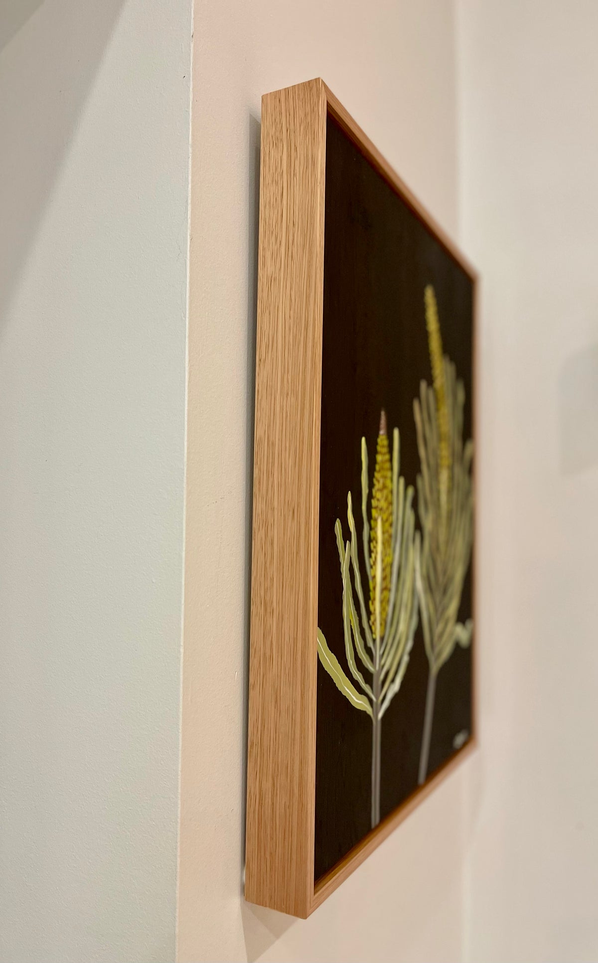 Banksias #6