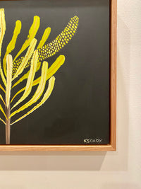 Banksia #5
