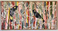 Desert Banksia and Black Cockatoos