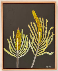Banksias #6