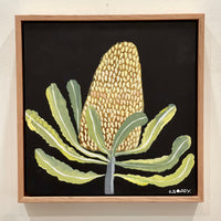 Banksia #10