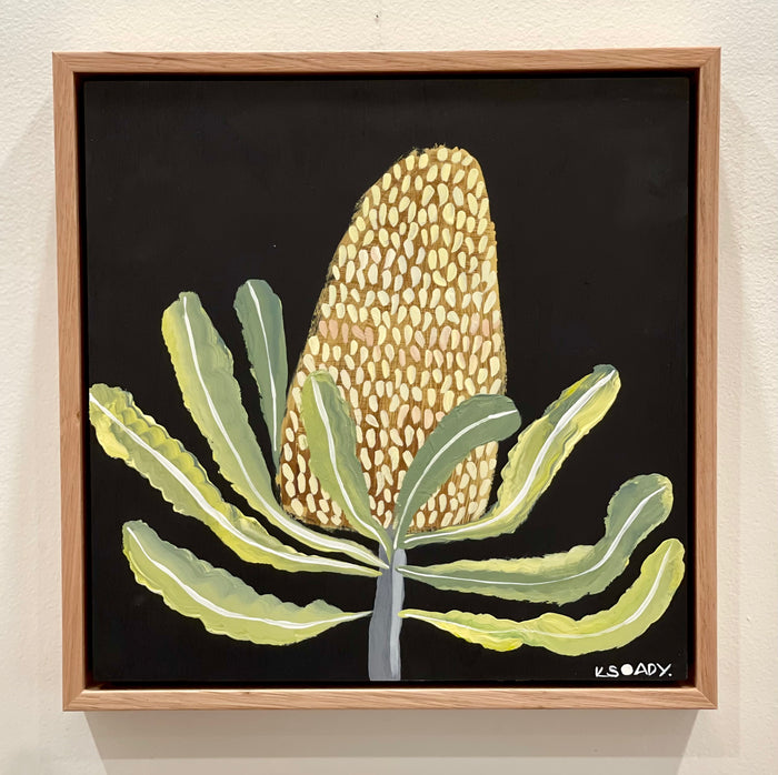 Banksia #10