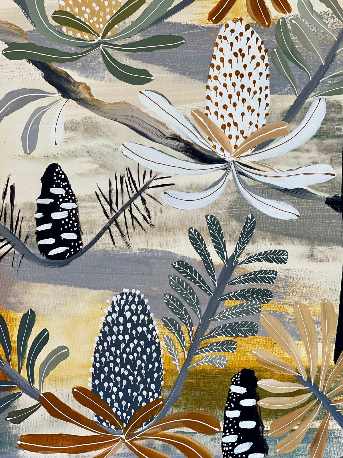 Autumn Natives and Black Cockatoos