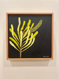 Banksia #5