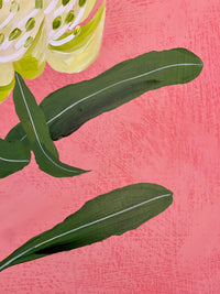 Waratah