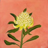 Waratah