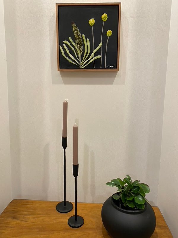 Billy Buttons & Banksia #6