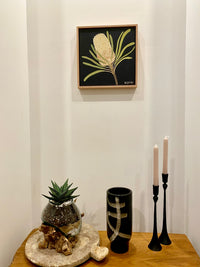 Banksia #3