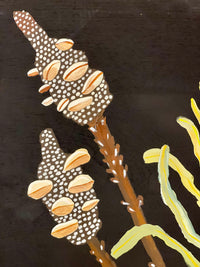 Pods and Banksia #2