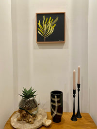 Banksia #5